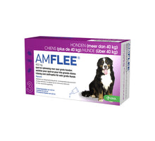 Amflee 402 mg (40 t/m 60 kg)