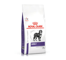 Royal Canin Adult Large Dogs (25 t/m 45 kg)