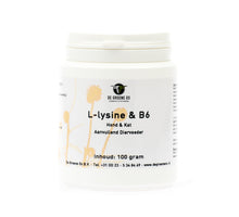 De Groene Os L-Lysine & B6 - 100 gram