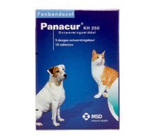 Panacur KH 250 - 10 tabletten
