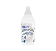 AntiSept Desinfectiespray - 100 ml