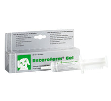 Enteroferm Gel - 20 ml