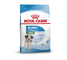 Royal Canin Starter Mother & Babydog Mini