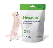 Flexasan - 90 Chews