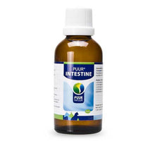 PUUR Intestine - 50 ml