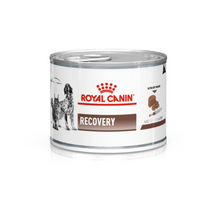Royal Canin Recovery Blik - 12 x 195 gram