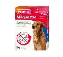 Beaphar Milquestra Grote Hond (5 t/m 75 kg)