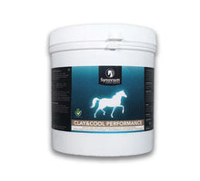 Synovium Clay & Cool
