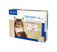 Effipro DUO Spot-On Grote Kat (6 t/m 12 kg) - 4 pipetten