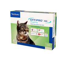 Effipro DUO Spot-On Kleine Kat (1 t/m 6 kg) - 4 pipetten