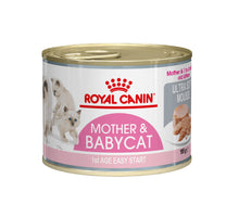 Royal Canin Mother & Babycat Mousse - 12 x 195 gram
