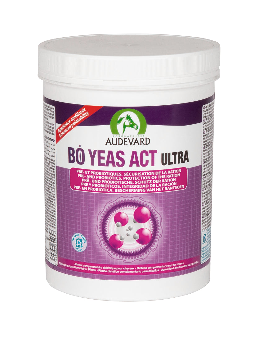 0.6 KG (600 gram)