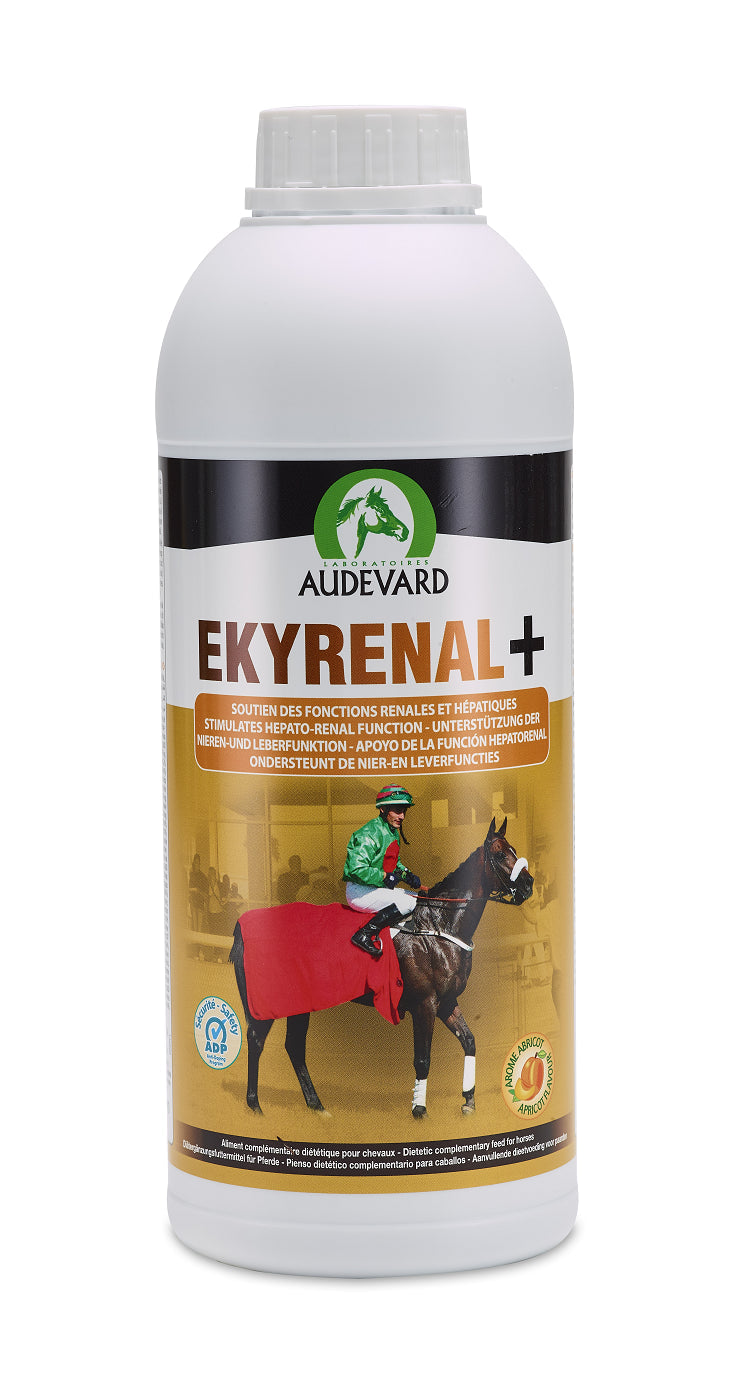1000 ML (1 liter)