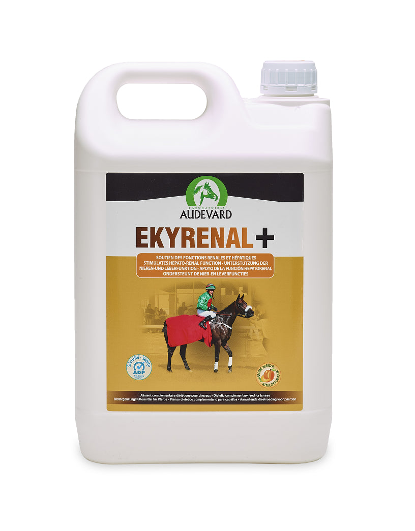 5000 ML (5 liter)