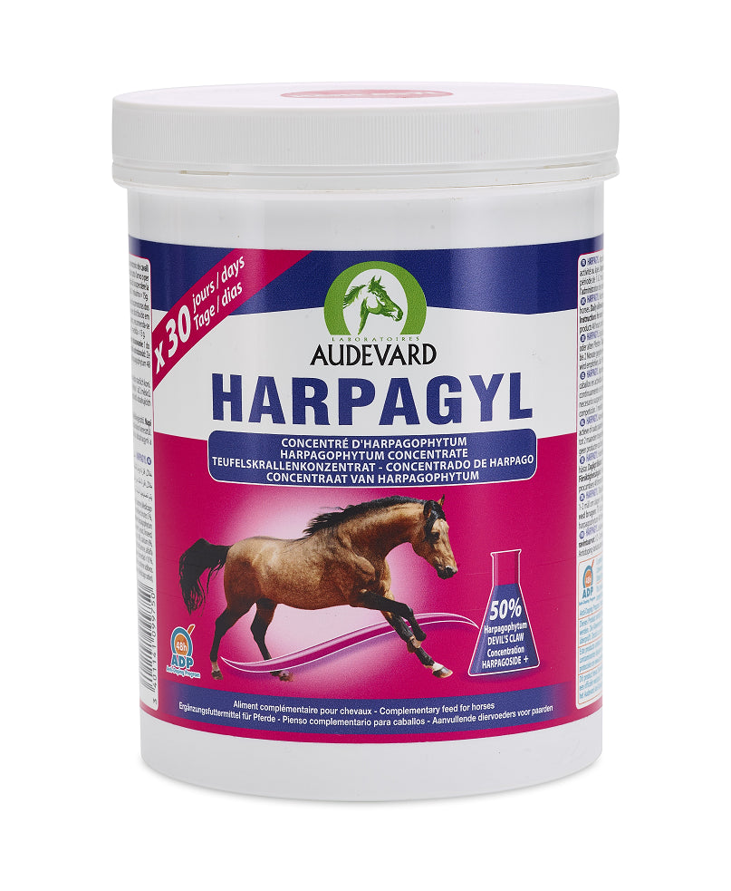 0.45 KG (450 gram)