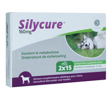 Silycure 160 mg - 30 tabletten