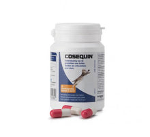 Cosequin Kat - 45 capsules