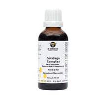 De Groene Os Solidago Complex Hond & Kat - 50 ml