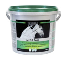 Equistro Mega Base