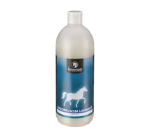 Synovium Ginger + MSM Liniment