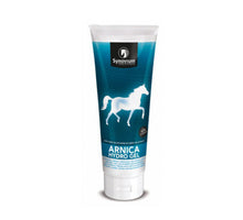 Synovium Arnica Hydro Gel - 250 ml