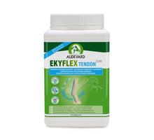 Audevard Ekyflex Tendon EVO