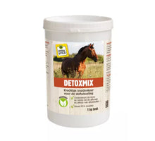 VITALstyle DetoxMix