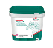 PrimeVal Gelatinaat Paard