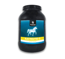 Synovium Electrolytes Q - 2.5 kg
