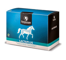 Synovium Lactaplus - 6 x 40 gram