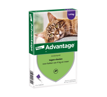 Advantage 80 Kat Groter dan 4 kg - 4 pipetten