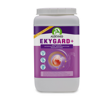 Audevard Ekygard +