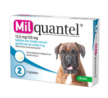 Milquantel Grote Hond - 12.5 mg / 125 mg (5 t/m 25 kg)