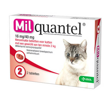 Milquantel Grote Kat - 16 mg / 40 mg (4 t/m 12 kg)
