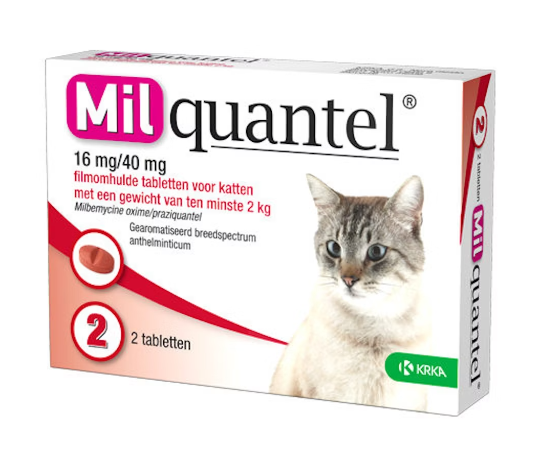 2 tabletten