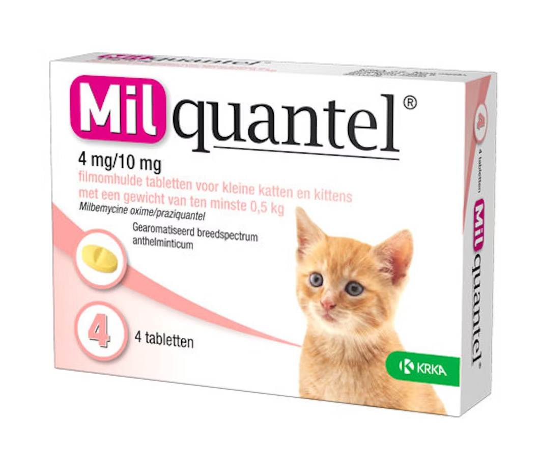 4 tabletten