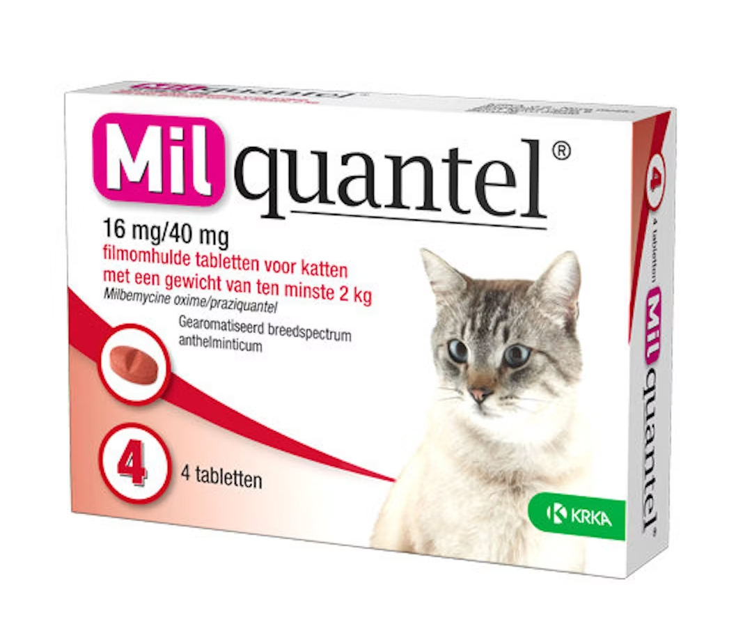4 tabletten