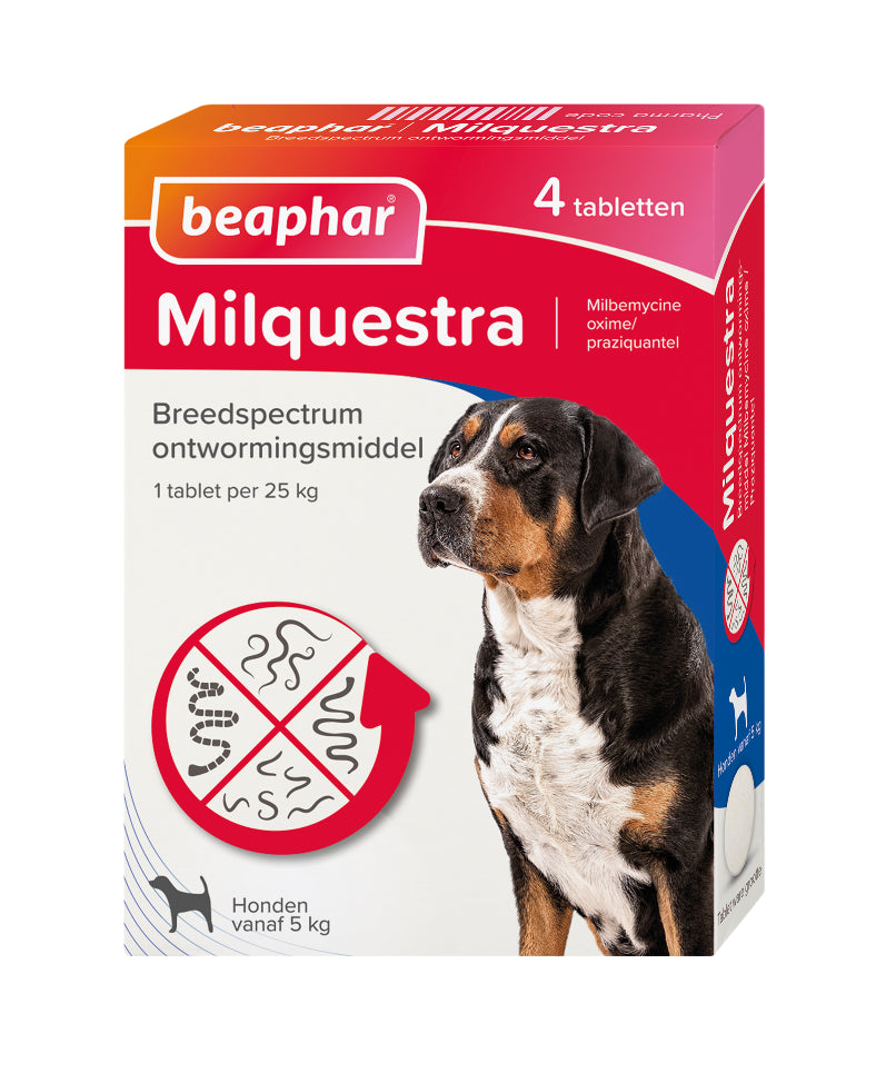 4 Tabletten