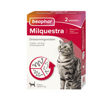 Beaphar Milquestra Grote Kat (2 t/m 12 kg)
