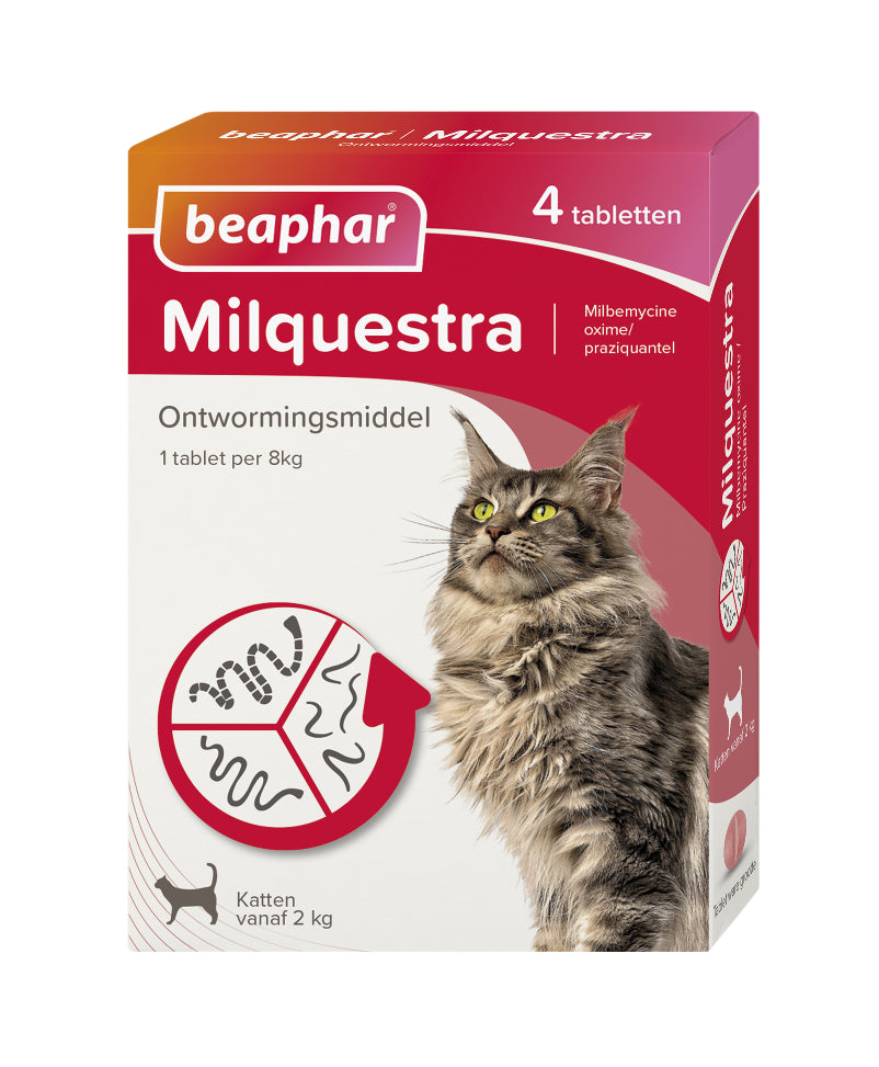 4 Tabletten