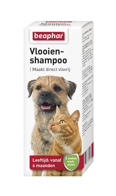100 ML