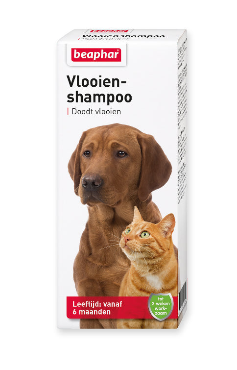 200 ML